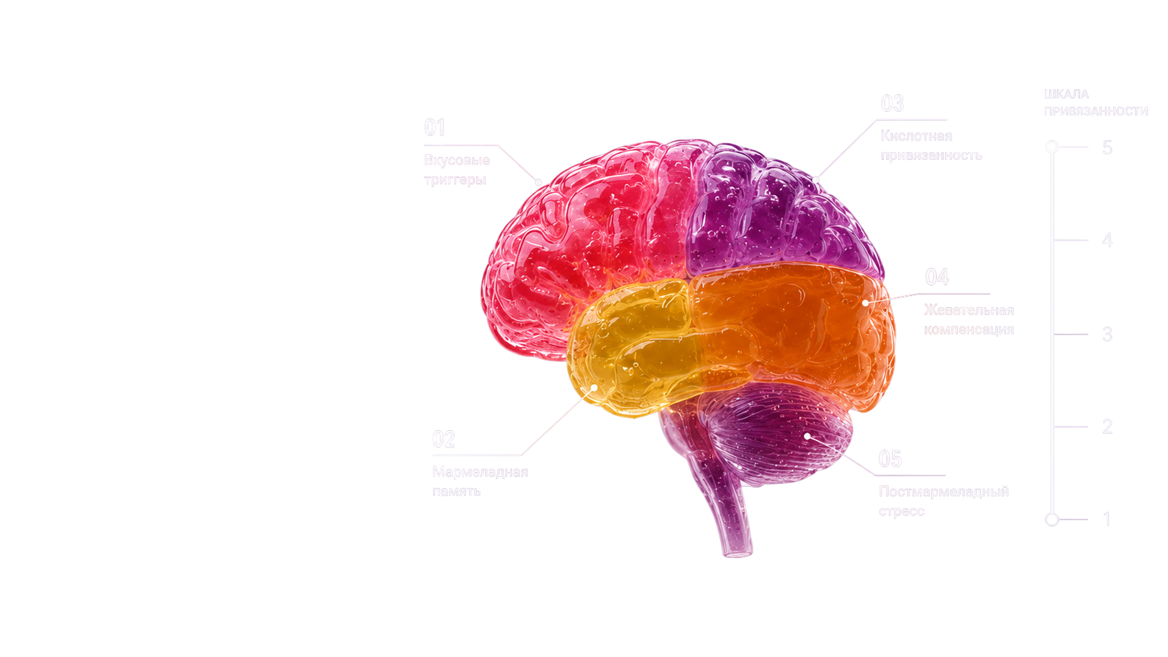 Инфографика: почему это работает — схема вкусовых триггеров, мармеладной памяти, кислотной привязанности, жевательной компенсации и постмармеладного стресса.